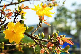 7 days off for Lunar New Year 2023