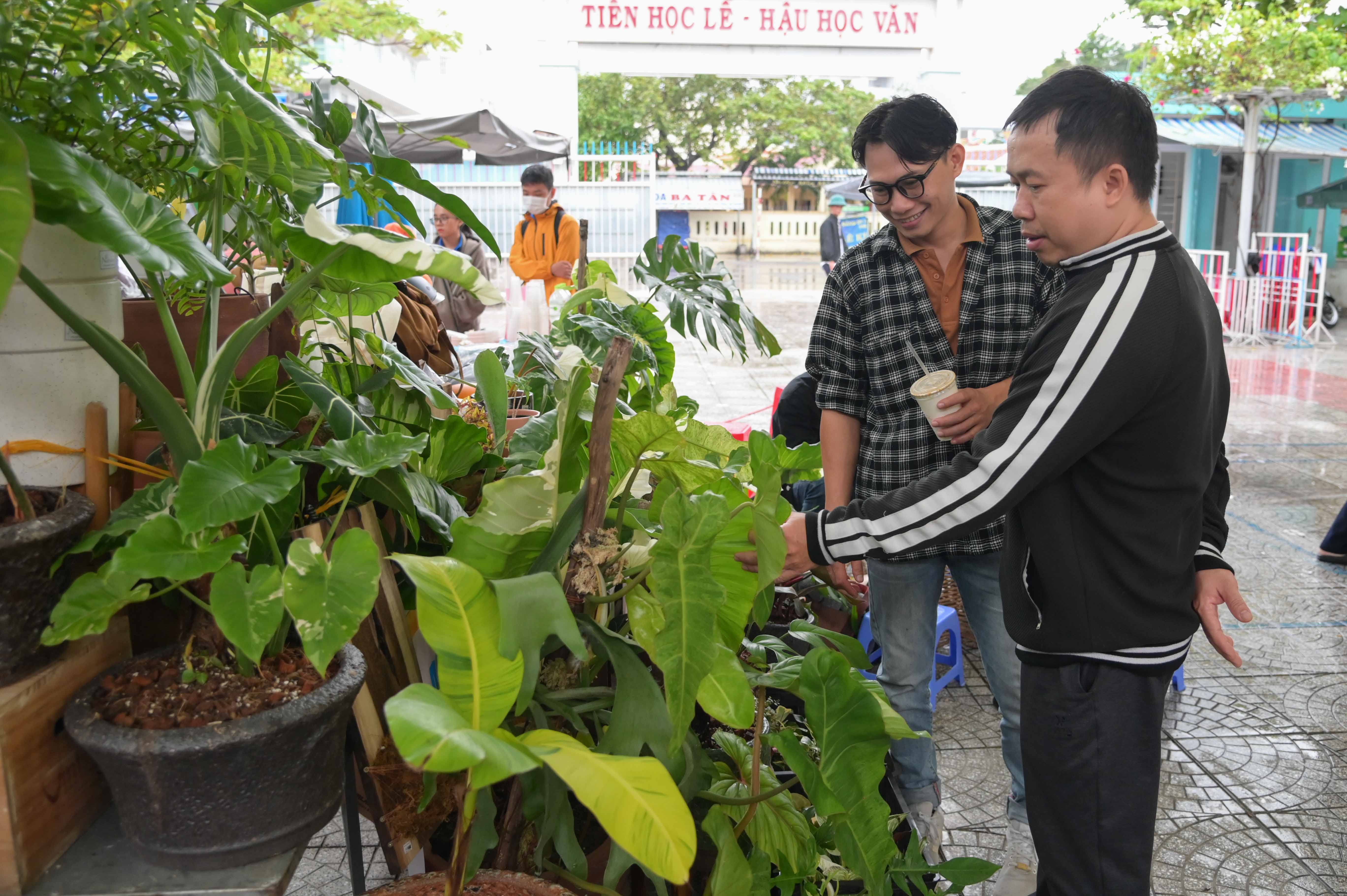 Stall selling indoor trees