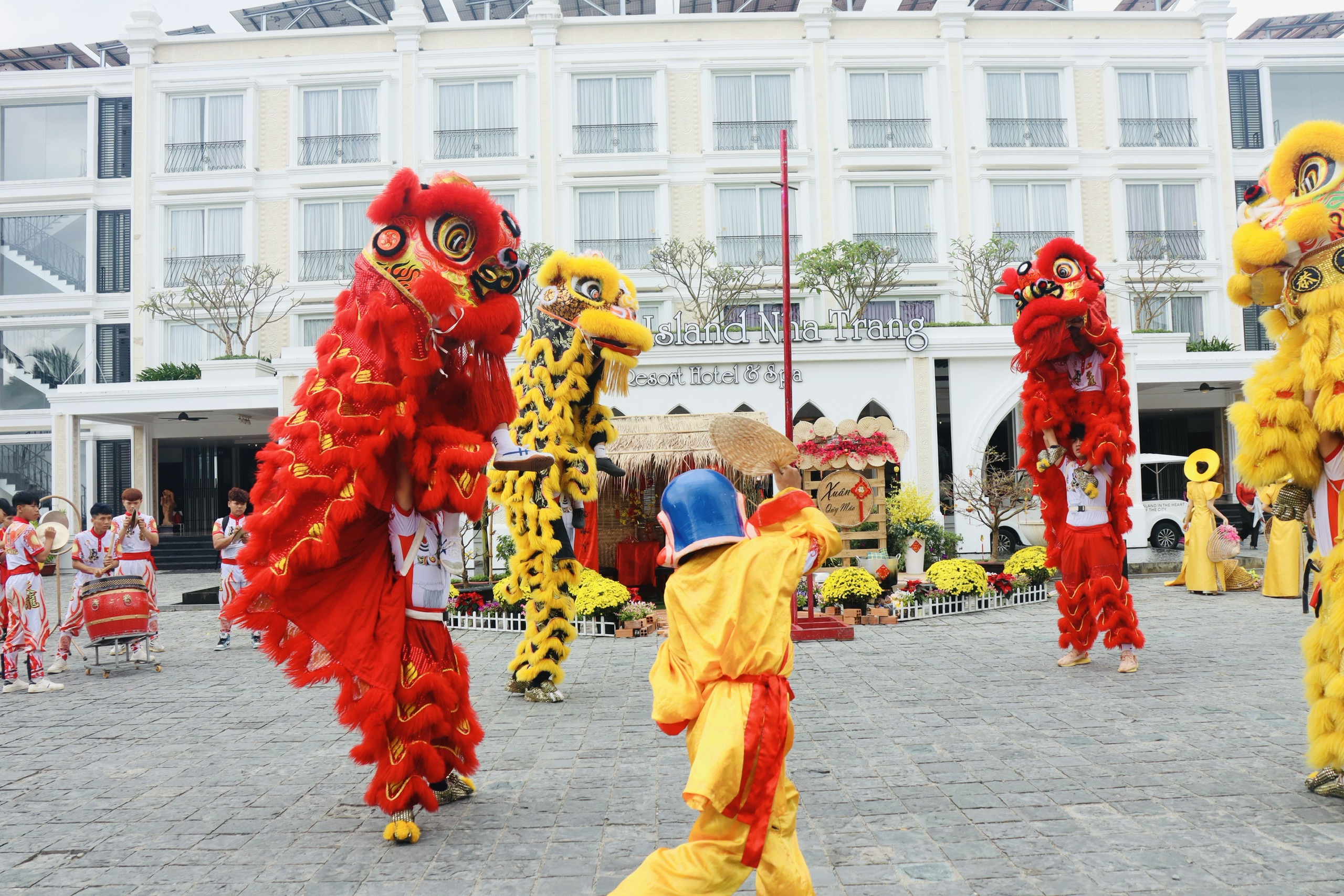 Lunar New Year unicorn dance, a yearly activity of Champa Island Nha Trang