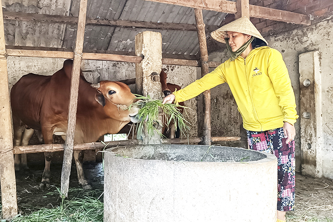 Kim's family borrowed capital to develop planting and breeding.