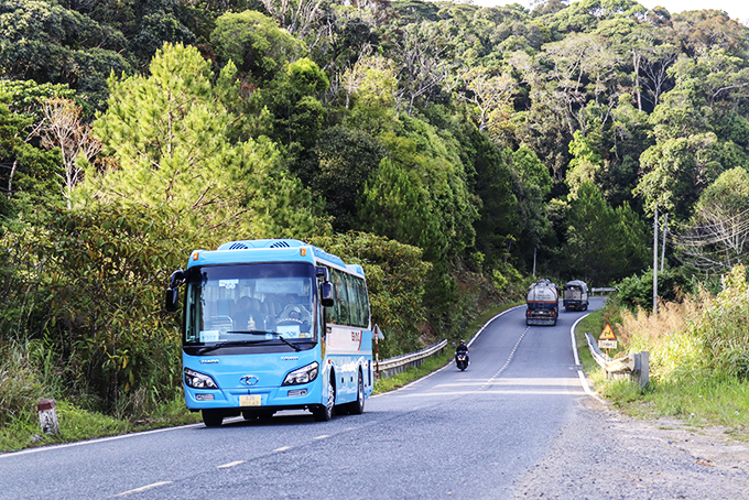 Road connecting sea and flowers